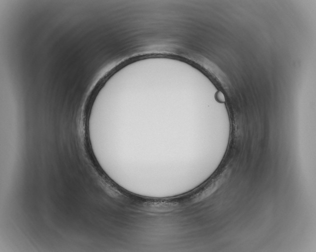 X0000112501077200909141219