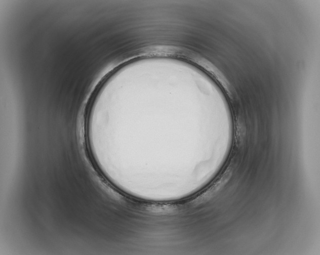 X0000112501083200909141219