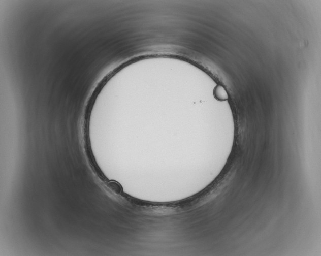 X0000112501085200909141219