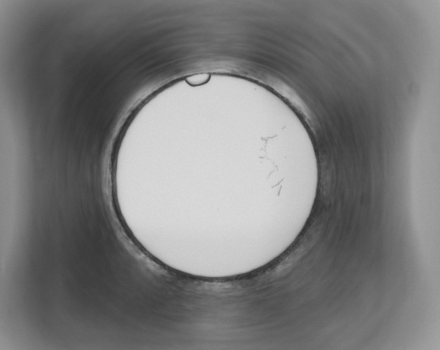 X0000112501088200909141219