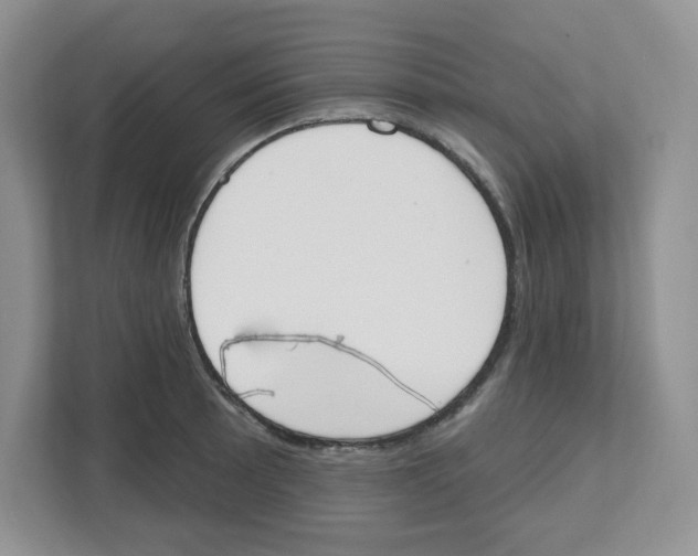 X0000112501089200909141219