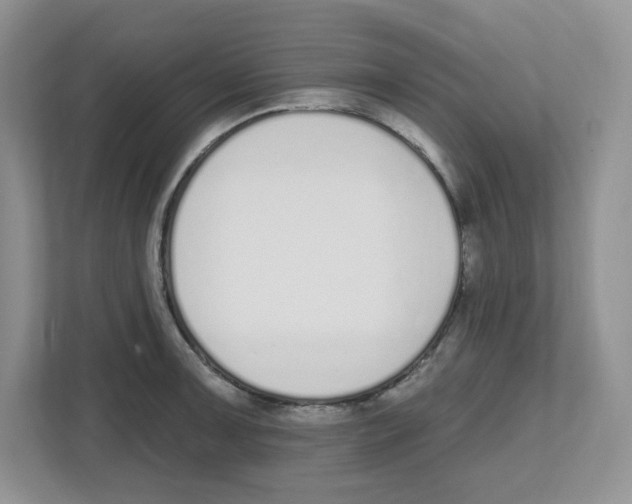 X0000112501091200909141219