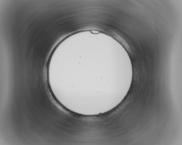 X0000112501092200909141219