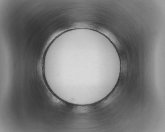 X0000112501094200909141219