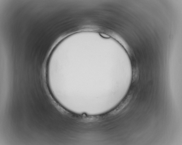 X0000112501099200909141219