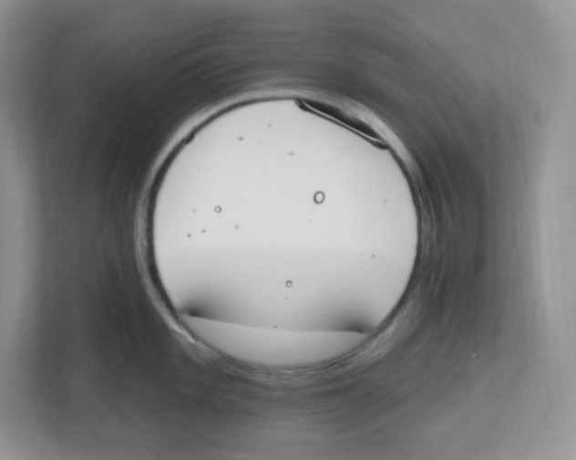 X0000112501101200909141219