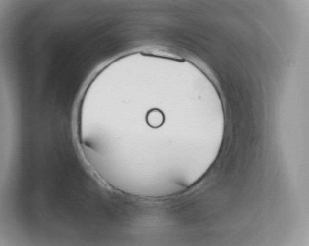 X0000112501104200909141219