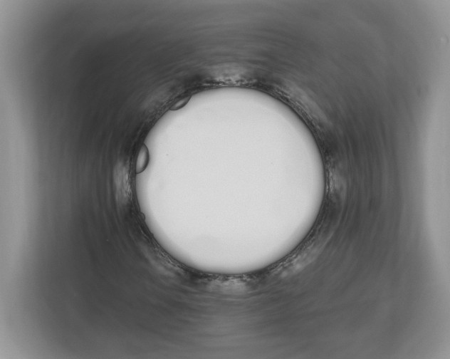 X0000112501106200909141218