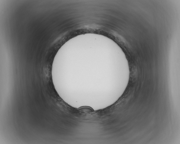 X0000112501110200909141218