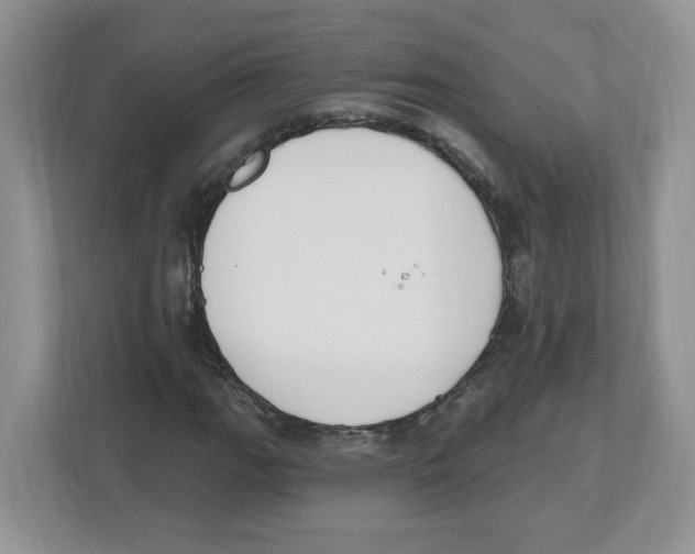 X0000112501111200909141218