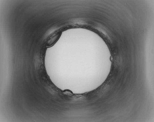 X0000112501112200909141218