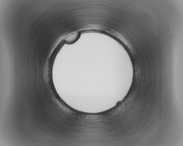 X0000112501116200909141218