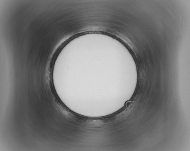 X0000112501119200909141218