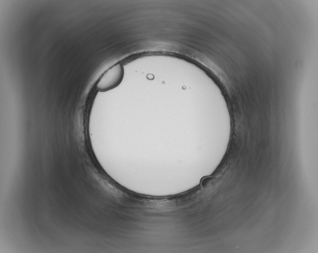 X0000112501120200909141218