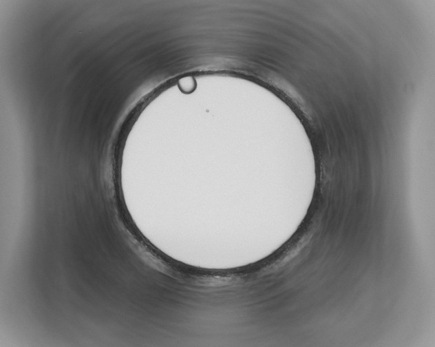 X0000112501122200909141219