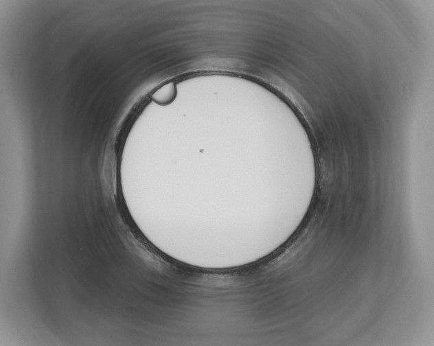 X0000112501123200909141219