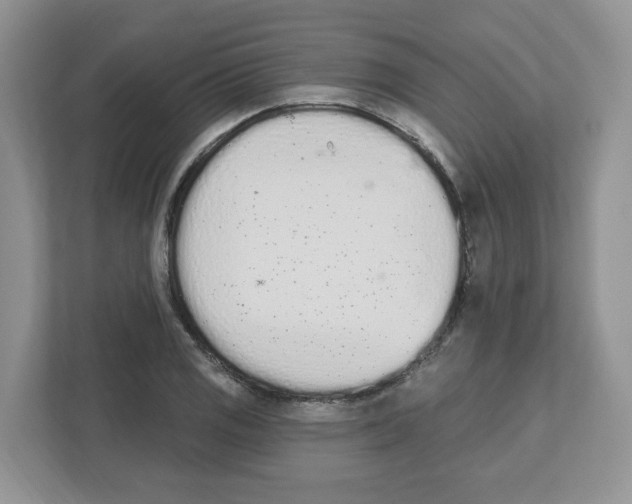 X0000112501125200909141219