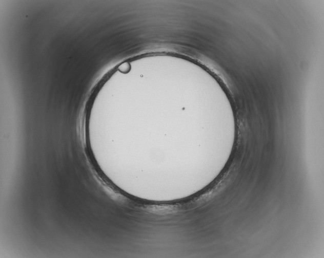 X0000112501127200909141219