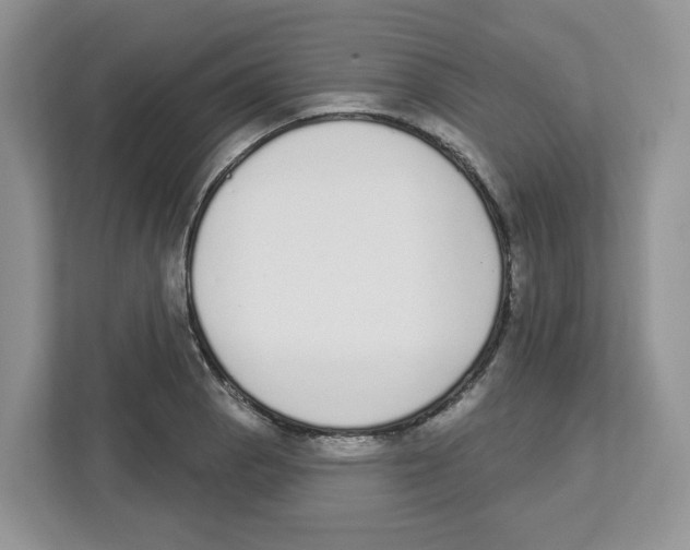 X0000112501129200909141219