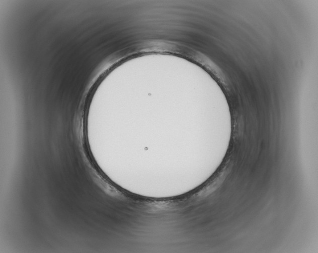 X0000112501130200909141219