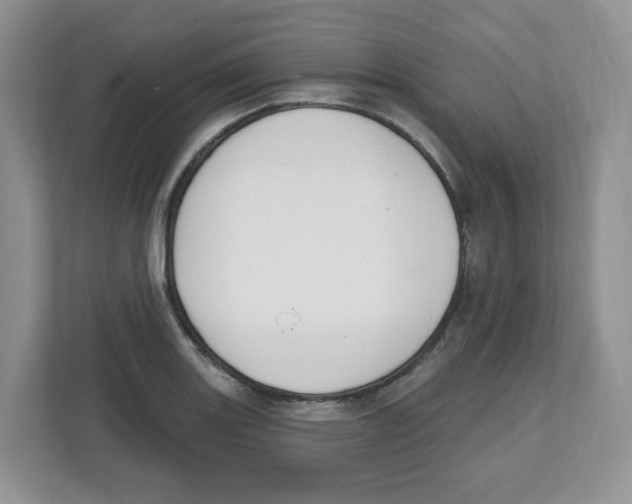 X0000112501131200909141219