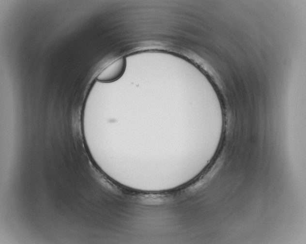 X0000112501137200909141219