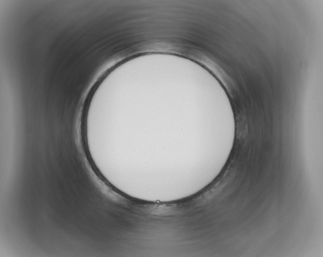 X0000112501139200909141219