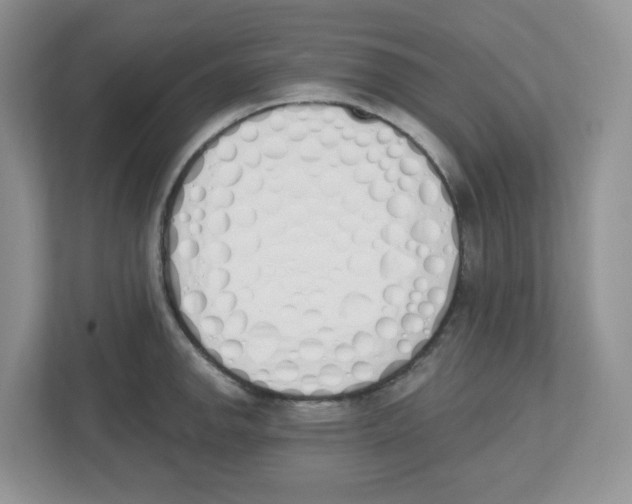 X0000112501142200909141219