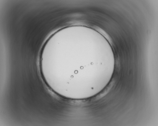 X0000112501149200909141219