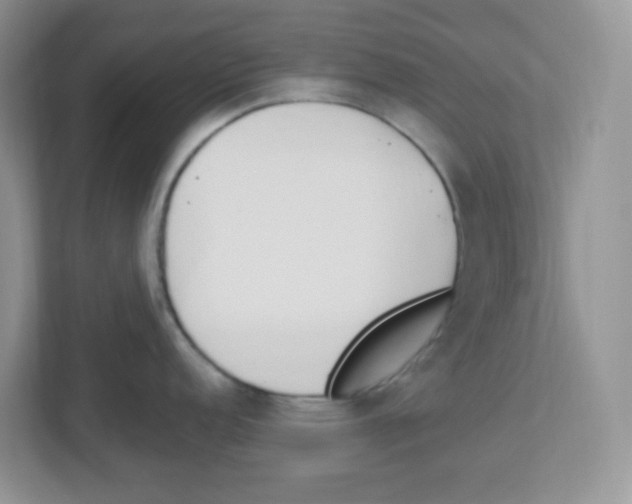 X0000112501152200909141219