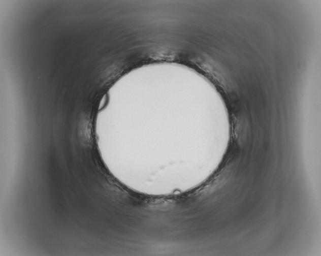 X0000112501154200909141218