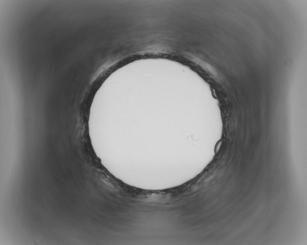 X0000112501160200909141218