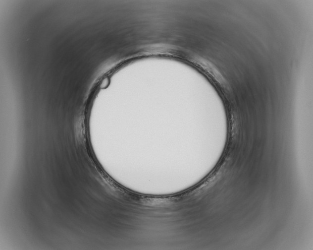 X0000112501164200909141218