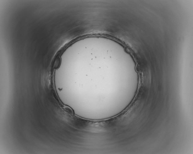 X0000112501165200909141218