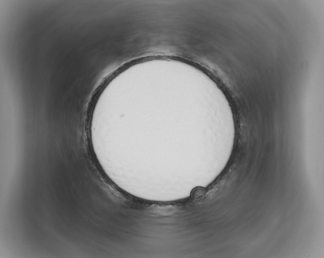 X0000112501168200909141218