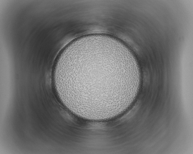 X0000112501170200909141218