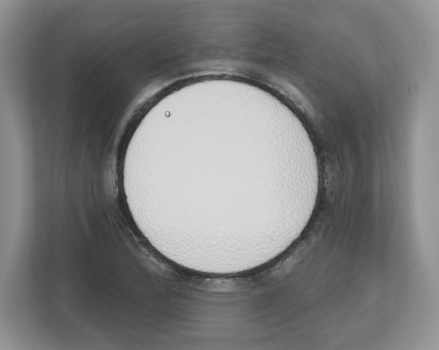 X0000112501172200909141218