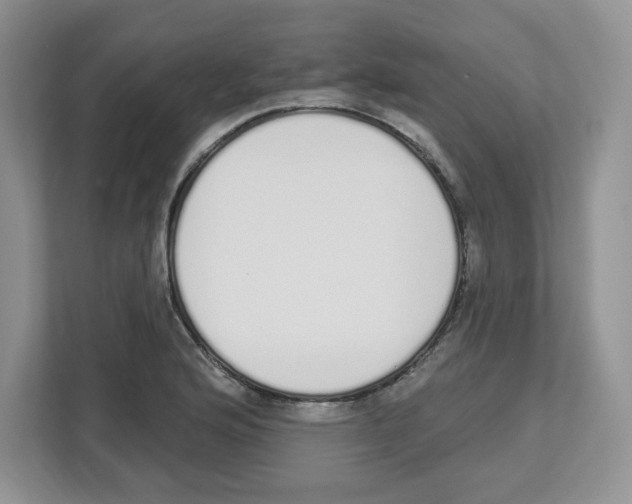 X0000112501176200909141218