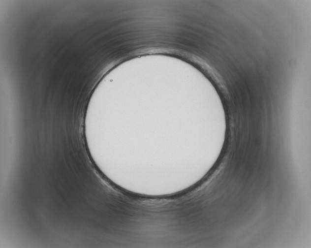 X0000112501185200909141218