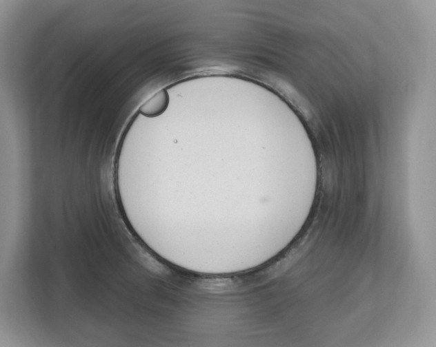 X0000112501186200909141218