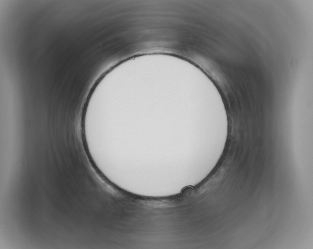 X0000112501189200909141218