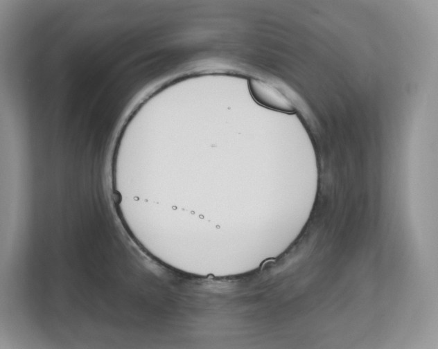 X0000112501191200909141218