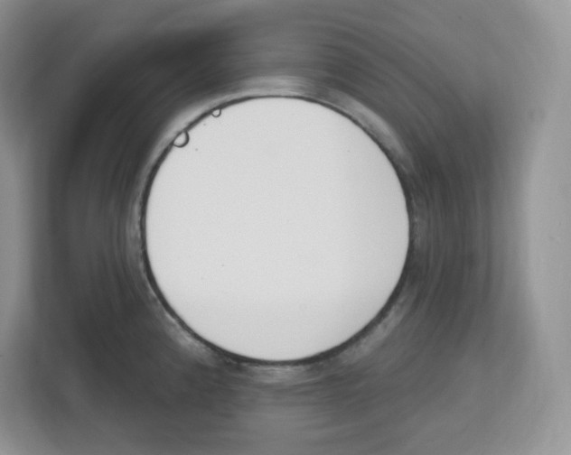 X0000112501192200909141218