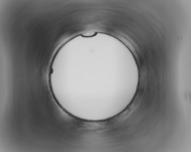 X0000112501197200909141218