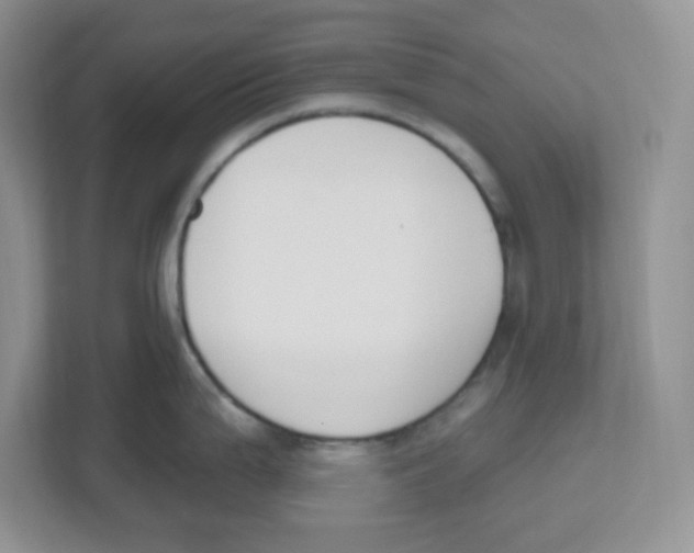 X0000112501199200909141218