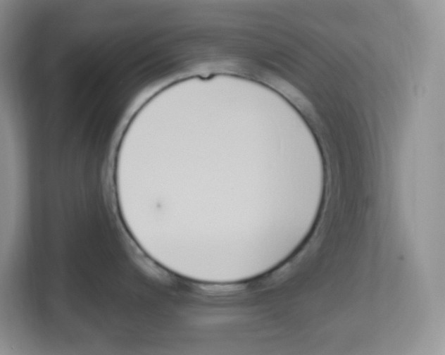 X0000112501200200909141218