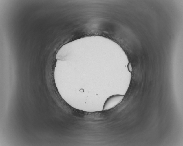 X0000112501201200909141217