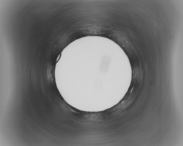 X0000112501202200909141217