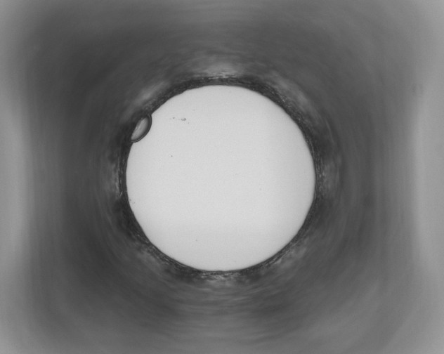 X0000112501205200909141217