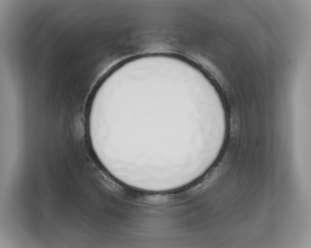 X0000112501212200909141217